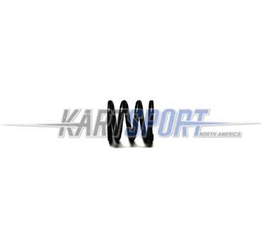 Briggs & Stratton LO206 26826 Valve Spring