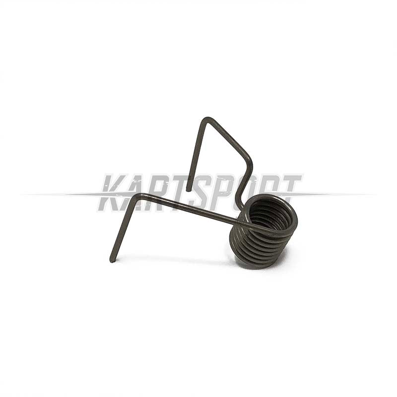 10787 IAME KA100 Spark Plug Guide Spring