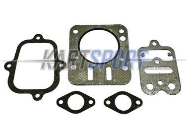 Briggs & Stratton LO206 555636 Valve Gasket Set