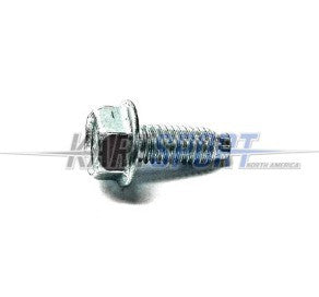 Briggs & Stratton LO206 699481 Hex Washer Head Screw