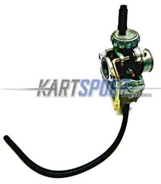 Briggs & Stratton LO206 555658 Carburetor Assembly