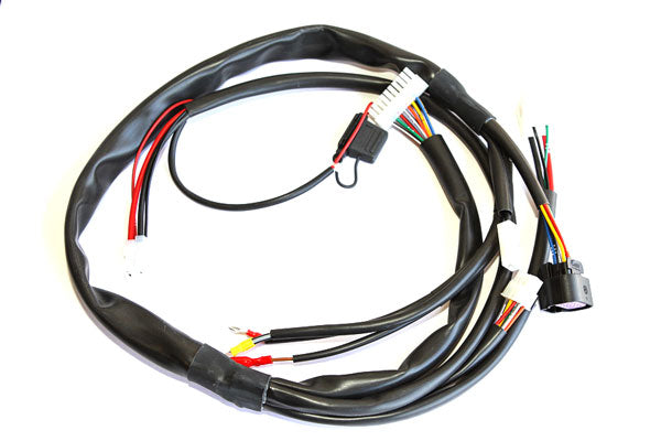 X30125935D-C IAME X30 Wiring Harness - Older Style